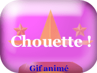 Gifs animés - Chouette