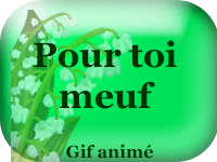 Gifs animés - pour toi meuf