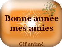 Gifs animés - Bonne année mes amies