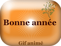 Gifs animés - Bonne année