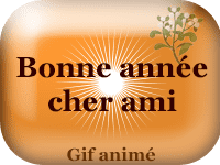 Gifs animés - Bonne année cher ami