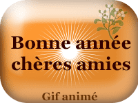 Gifs animés - Bonne année chères amies