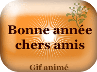 Gifs animés - Bonne année chers amis