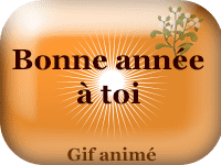 Gifs animés - Bonne année à toi