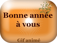 Gifs animés - Bonne année à vous