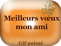 Gifs animés - Meilleurs vœux mon ami