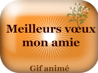 Gifs animés - Meilleurs vœux mon amie