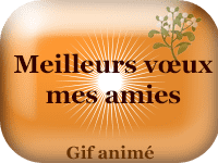 Gifs animés - Meilleurs vœux mes amies