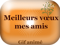 Gifs animés - Meilleurs vœux mes amis