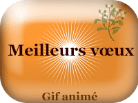 Gifs animés - Meilleurs vœux
