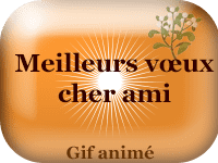 Gifs animés - Meilleurs vœux cher ami