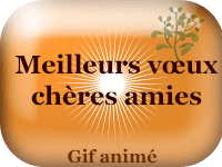 Gifs animés - Meilleurs vœux chères amies