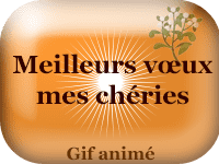 Gifs animés - Meilleurs vœux mes chéries