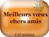 Gifs animés - Meilleurs vœux chers amis