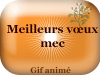 Gifs animés - Meilleurs vœux mec