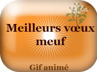 Gifs animés - Meilleurs vœux meuf
