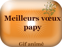 Gifs animés - Meilleurs vœux papy