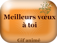 Gifs animés - Meilleurs vœux à toi