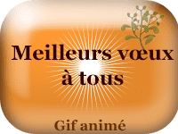 Gifs animés - Meilleurs vœux à tous