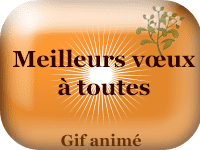 Gifs animés - Meilleurs vœux à toutes