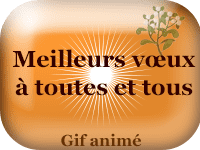 Gifs animés - Meilleurs vœux à toutes et à tous